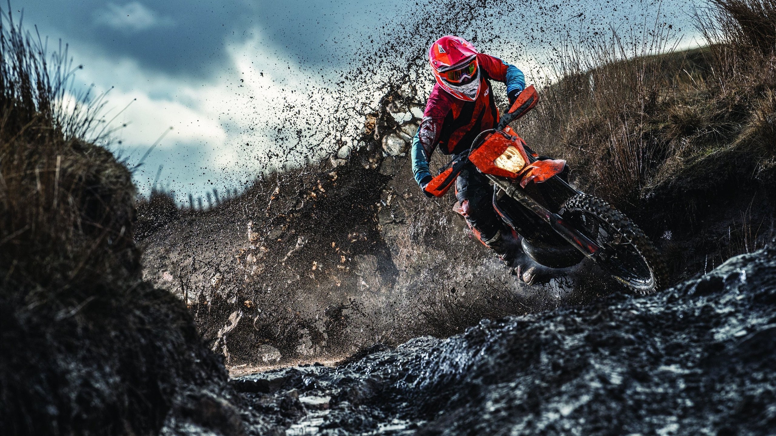 乒乓球赛场焦点！西班牙队对阵荷兰队，年轻新星表现惊艳，未来可期